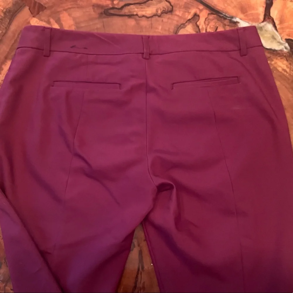 Express Size 10 R Columnist Pant - Picture 6 of 7